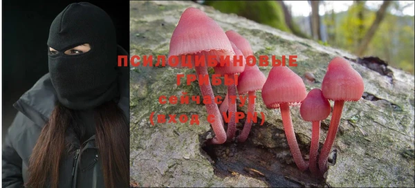 кокс Алзамай