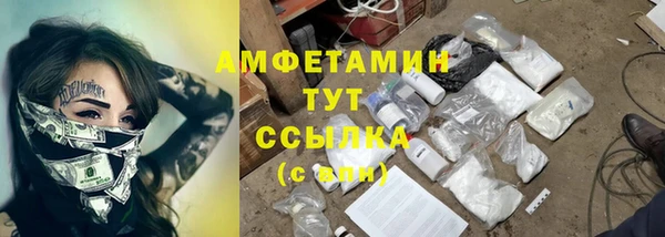 амф Алексеевка