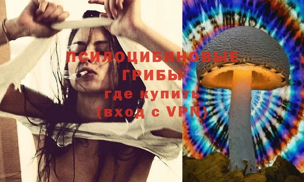 прущая мука Алексин
