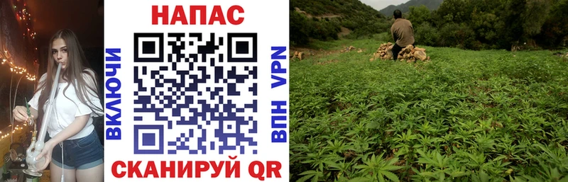 MEGA ONION  где купить   Павлово  Бошки марихуана семена 